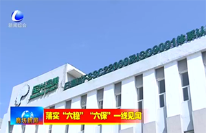 新聞采訪｜疫情下，軍興溢美如何在危機中求發(fā)展？